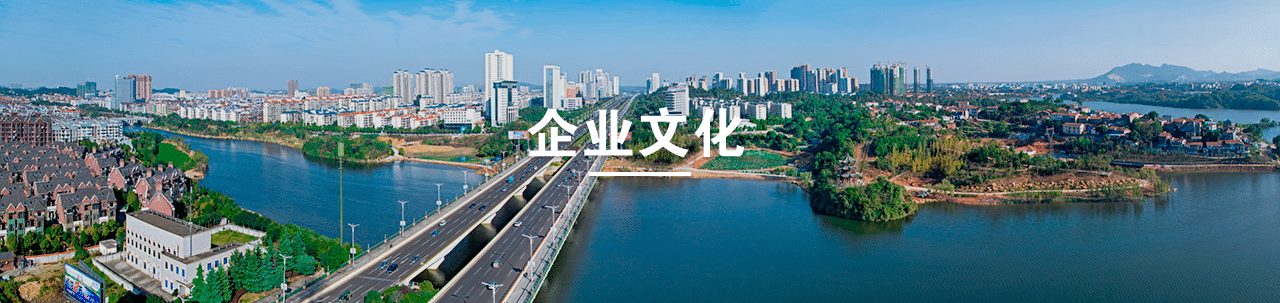 企業文化