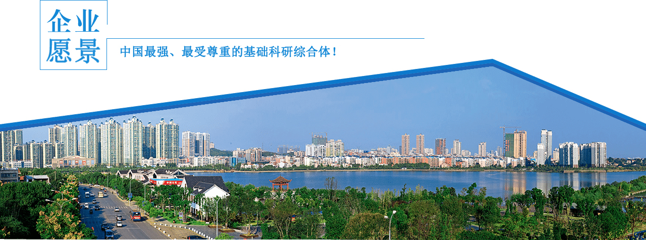 企業愿景