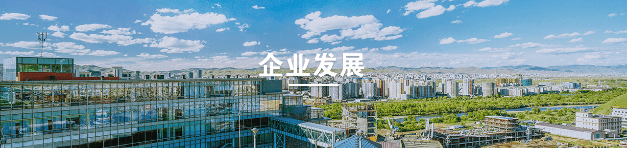 企業發展